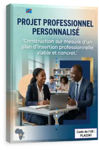 Projet Professionnel Personnalisé (tutoré)