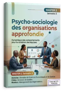 Psycho-sociologie des organisations approfondie