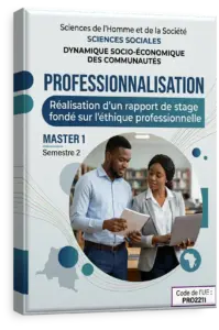Professionnalisation