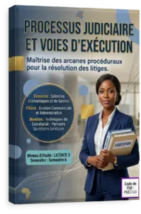 Processus judiciaire et voies d'exécution