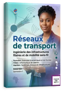Réseaux de transport