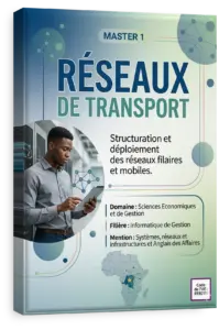 Réseaux de transport