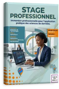 Stage professionnel