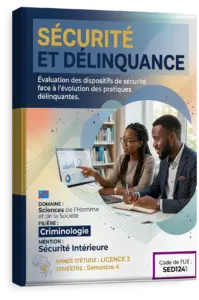Sécurité et délinquance