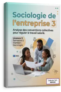 Sociologie de l'entreprise/organisation 3