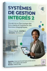 Systèmes de gestion intégrés 2