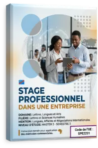 Stage professionnel dans une entreprise