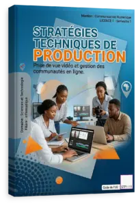 Stratégies techniques de production