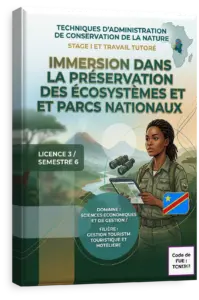 Stage I et Travail tutoré