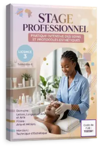 Stage professionnel