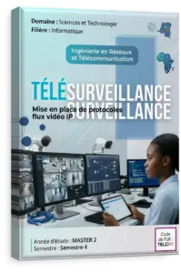 Télésurveillance