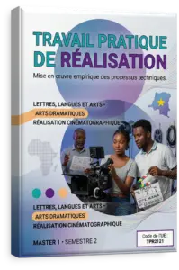 Travail pratique de réalisation