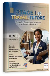 Stage I et Travail tutoré