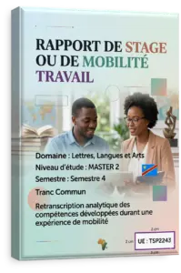 Rapport de stage ou de mobilité travail