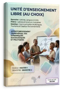Unité d'enseignement libre (au choix)